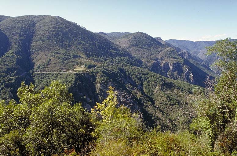 Vue prise depuis le massif central, vers l'ouest, sur les lacets de la route du col de Braus sur les pentes de la tête de Lavina.