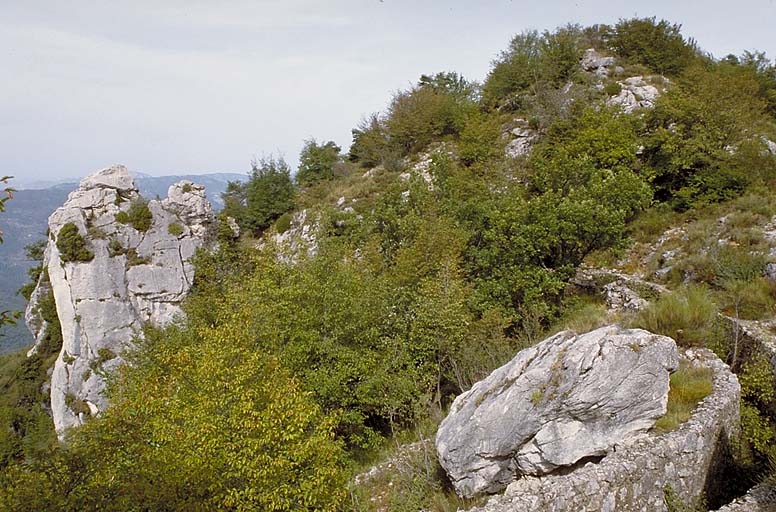 Tranchée maçonnée sur les dessus de l'ouvrage.