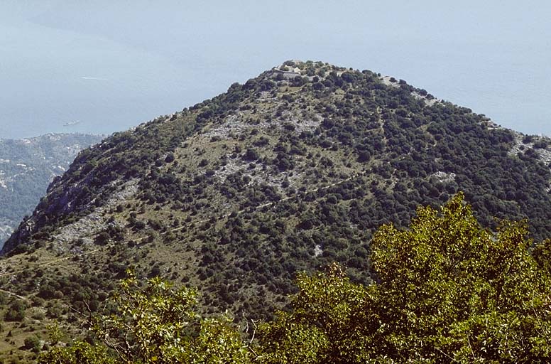 Vue prise du poste vers le sud-est.