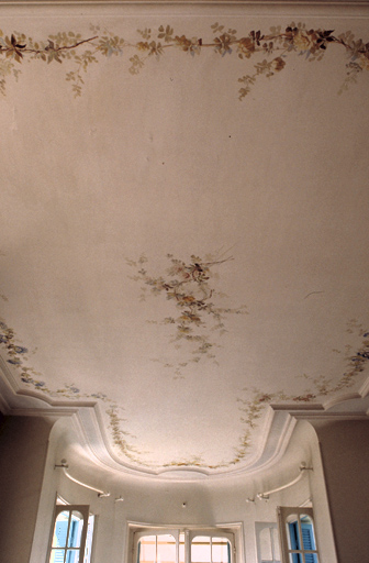 Détail : le plafond peint situé dans la partie ouest du salon.