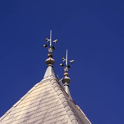 Toiture (détail). Epis de faîtage.