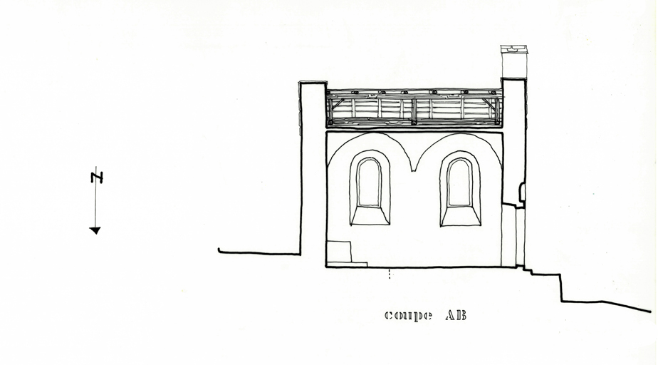 Coupe longitudinale.