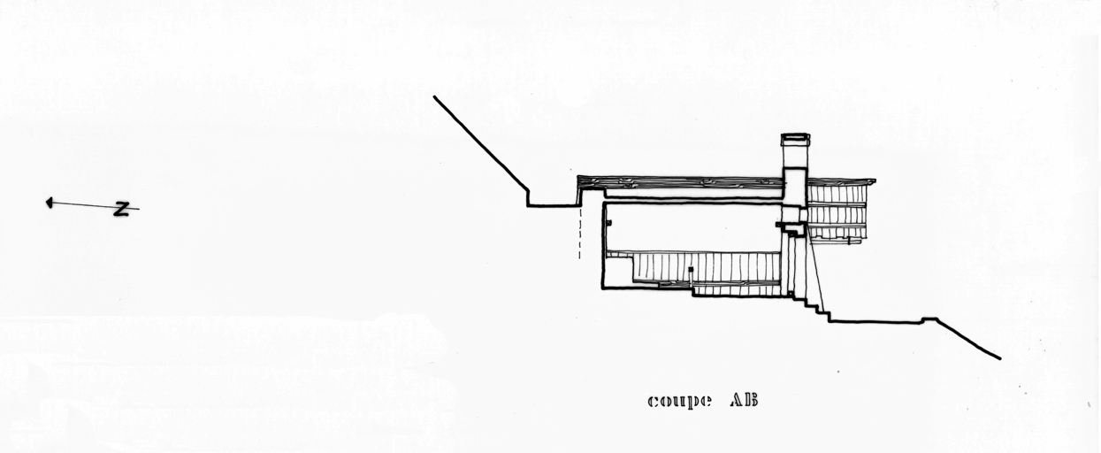 Coupe longitudinale.