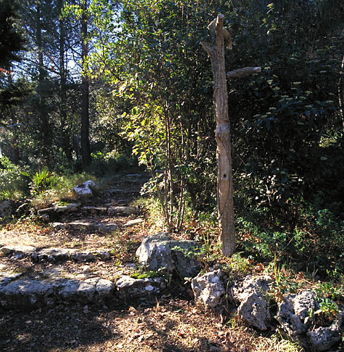 Allée aménagée et arbre en rocaille.