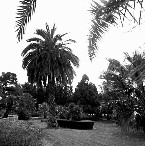 Pelouse située devant la villa.