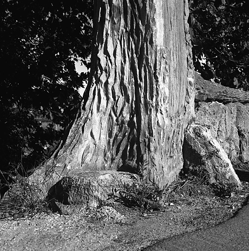 Faux tronc d'arbre en rocaille à l'entrée du pont. Détail du pied.