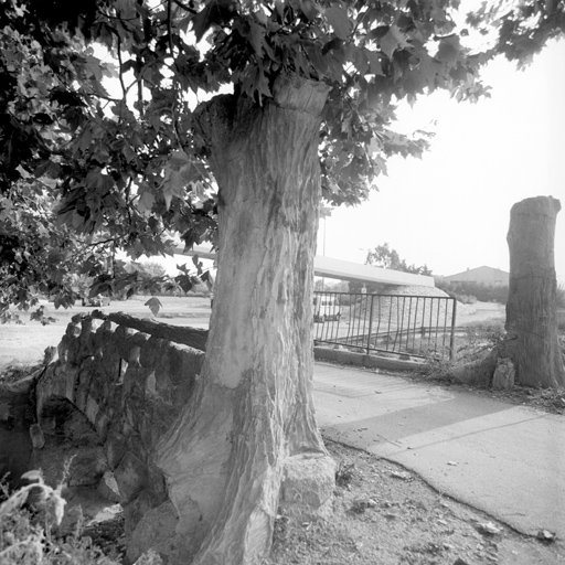 Faux tronc d'arbre en rocaille à l'entrée du pont.