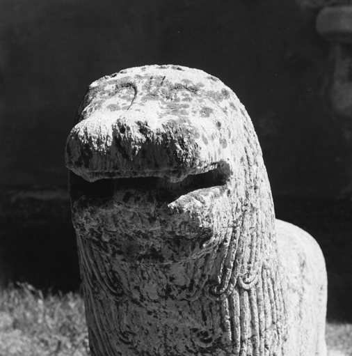 Le lion de gauche. Détail de la tête.