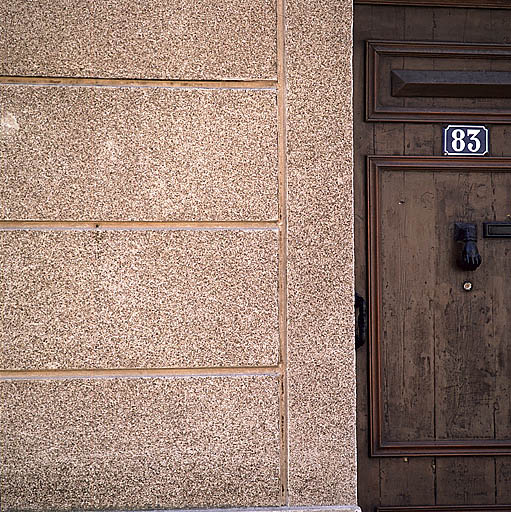 Fig. 33 - Maison, 83 rue Le-Pelletier (parcelle H 169), construite vers 1882 pour Louis Sylvestre Sacoman, charretier. Détail de l'enduit au fer.
