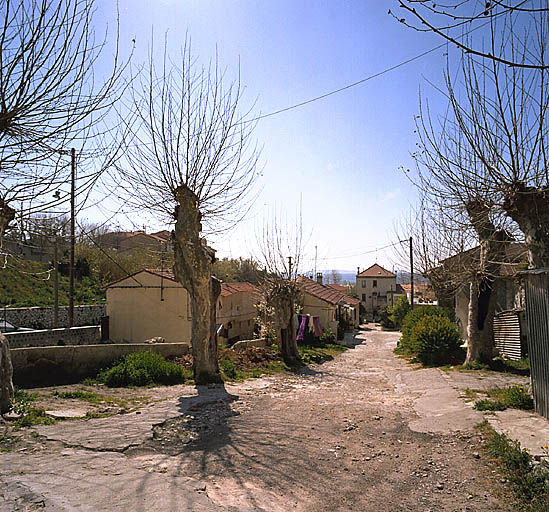 Ancienne allée charretière. Vue d'ensemble de la partie basse de la courée, prise depuis le nord, dans l'axe de la cour. A gauche, alignement des maisons adossées au ruisseau des Riaux.