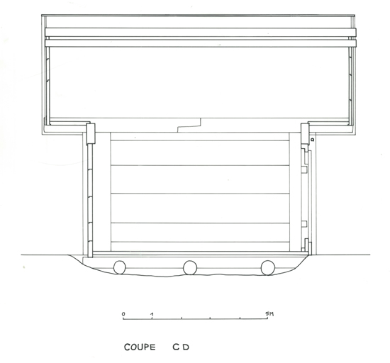 Coupe longitudinale.