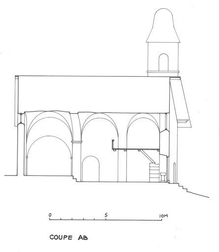 Coupe longitudinale.