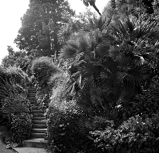 Escalier en rocaille de faux-bois dans le talus H7 au nord-ouest du château. Vue de volume prise de l'est.