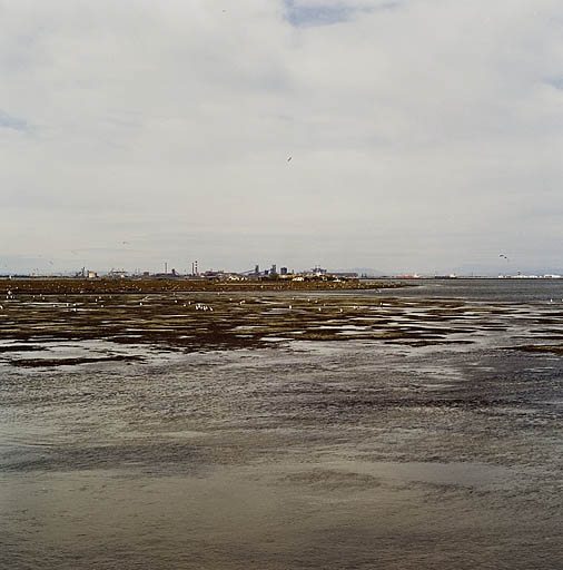 Paysage de bord de mer