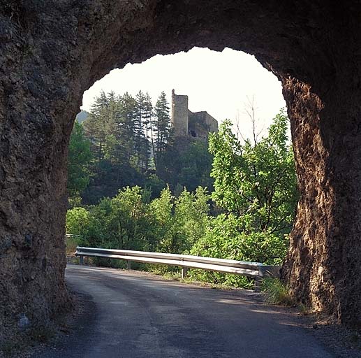 Vue générale prise du nord-ouest.