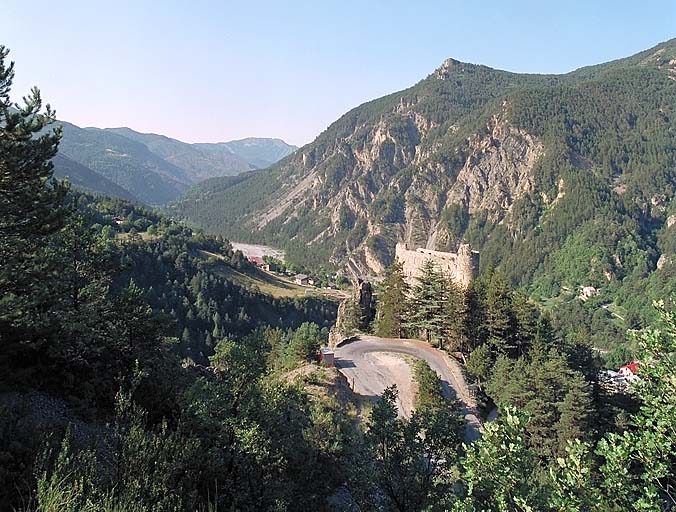 Vue générale du site castral prise du nord-est.