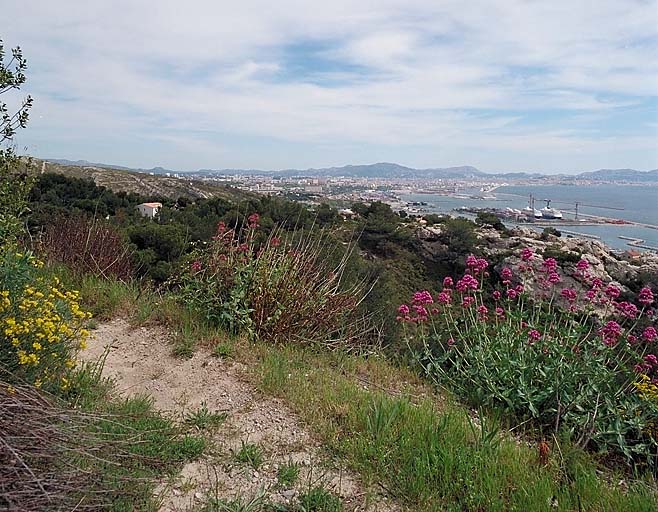 Panorama sur la baie de Marseille, depuis les Piches.