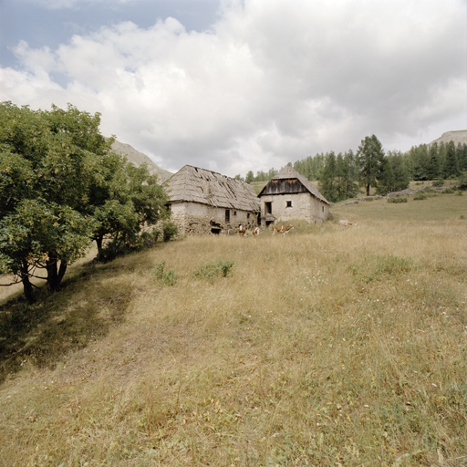 Ferme de type IA2. Vue d'ensemble depuis l'ouest.