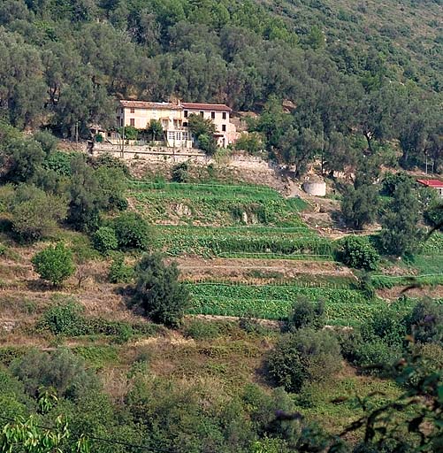 Vue de situation, depuis le sud.