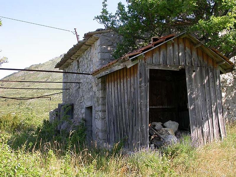 Bâtiment agricole. Elévation sud et treille. Vue prise du sud-est.