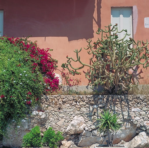 Vue de détail de la végétation du jardin d'une villa construite le long du quai du port.