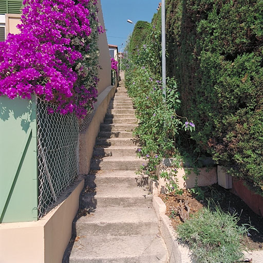 Vue d'ensemble de l'escalier reliant l'avenue Saint Estève à l'allée Saint-Estève, depuis l'est.