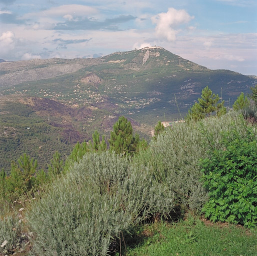 Vue générale depuis l'est.