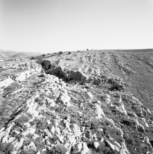 Partie centre sud du Plateau de Calern (au sud-ouest du lieu-dit Les Poumeirès) : petit enclos et cabane (borie) de pierres-sèches (cadastre section F, parcelle 253), aménagés dans une faille perpendiculaire aux strates rocheuses, vus depuis l'ouest.