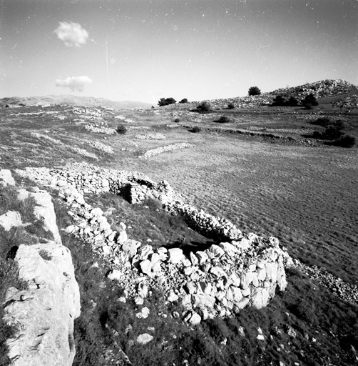 L'enclos, vue d'ensemble depuis l'ouest.