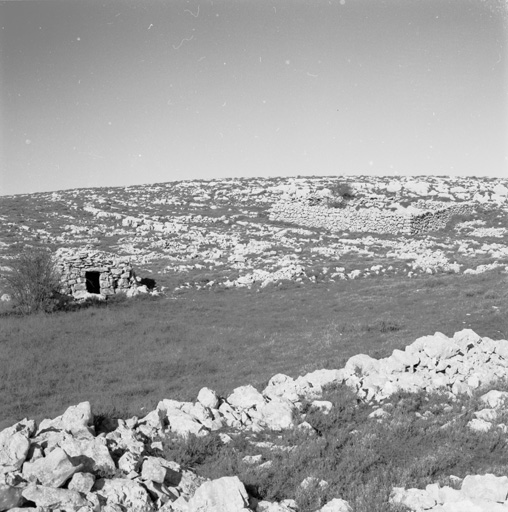 Partie centre sud du Plateau de Calern, entre les lieux-dits Les Baumes et Les Poumeirès : doline aménagée, enclos rectangulaire et cabane (borie) de pierres-sèches (cadastre section G, parcelle 196), vus depuis le sud-ouest.