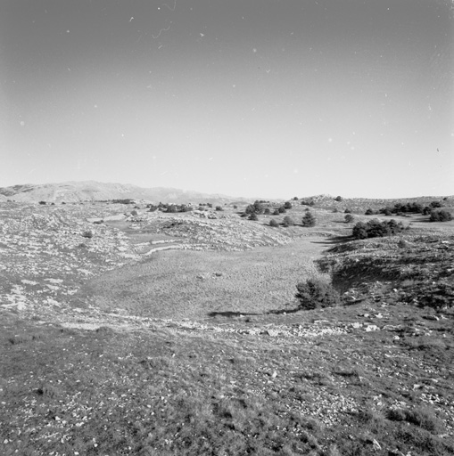 Partie centrale du Plateau de Calern (au sud-ouest du lieu-dit Les Poumeirès) vue vers le nord-est : dolines aménagées et végétation de pins commençant à envahir les zones délaissées par les moutons, en arrière plan la montagne du Cheiron (à gauche) et son prolongement vers l'est.