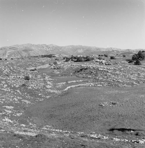 Partie sud-ouest du lieu-dit Les Poumeirès vue vers le nord-est : dolines aménagées, détail : le fond de la doline aménagé en plans successifs retenus par des murets de soutènement.