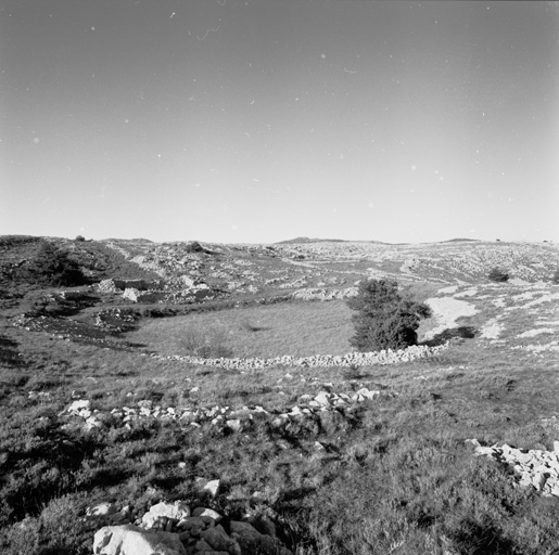 Enclos et cabane, en bordure d'une doline.