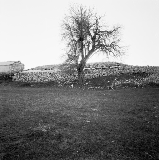 La bergerie couverte vue du nord-est.