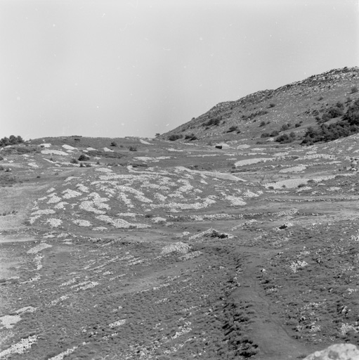 Lieu-dit Le Teil : tas d'épierrement près de la bergerie n°2 (cadastre section G, parcelle 263), vus depuis le nord-ouest.