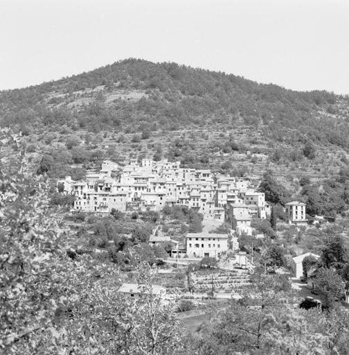 Vue générale depuis le sud.