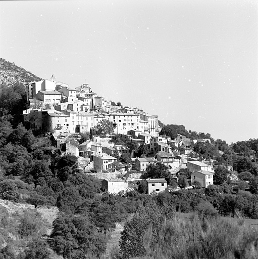 Vue d'ensemble, depuis l'ouest. L'agglomération proprement dite (en haut) se distingue bien du quartier des Granges (en bas).