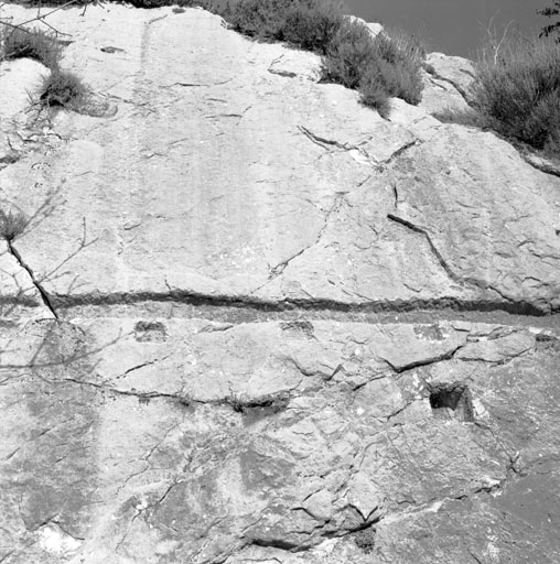 Détail : le rocher, en amont de la bergerie, taillé pour l'ancrage de la charpente.