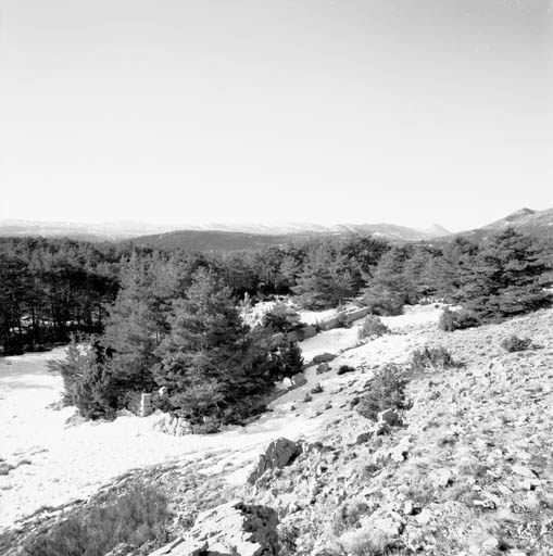 Vue de situation, depuis le nord-est. ; Gréolières, la Brasque. Bergerie, vue de situation, depuis le nord-est.