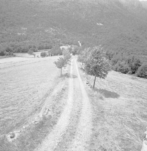 Le chemin d'accès, vu depuis la ferme vers le sud-ouest.