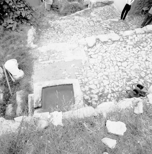 La ferme, détail : l'escalier en pas d'âne et l'auge en pierre servant d'abreuvoir, vus d'en haut depuis le nord.