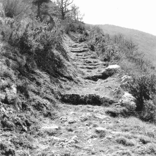 Ancien chemin de Pierrefeu, près de la chappelle Sainte-Julie.