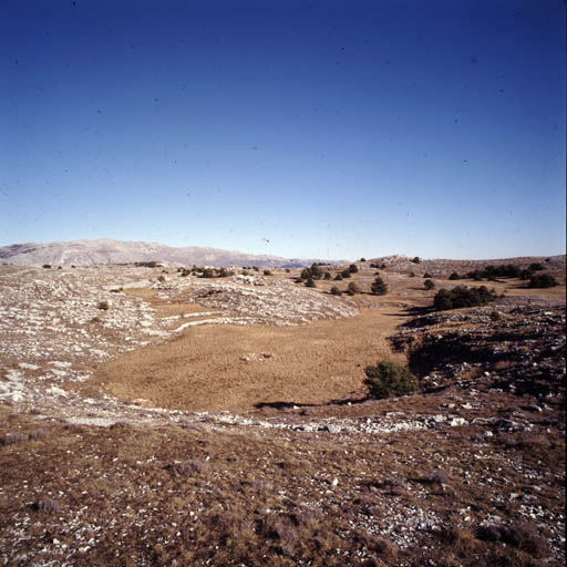 Partie centrale du Plateau de Calern (au sud-ouest du lieu-dit Les Poumeirès) vue vers le nord-est : dolines aménagées et végétation de pins commençant à envahir les zones délaissées par les moutons, en arrière plan la montagne du Cheiron (à gauche) et son prolongement vers l'est.