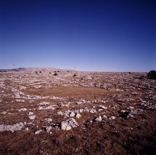 Partie centre sud du Plateau de Calern, entre les lieux-dits Les Baumes et Les Poumeirès, vue depuis le sud-ouest : doline aménagée, cabane de pierres-sèches (borie) et tas d'épierrement.