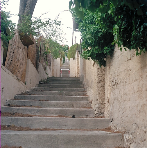 Escalier reliant le haut de la montée Pichou à l'impasse Pichou et desservant des cabanons. Vue prise vers le haut.