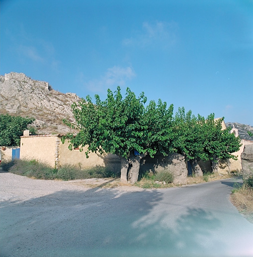 Muriers devant une maison à l'entrée nord du paté de maison avec la chapelle Notre-Dame de la Galline.