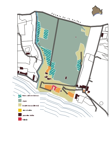L'emprise du lotissement Farrenc en 1819, d'après le plan cadastral avec report des usages des sols extraits de l'état de section.
