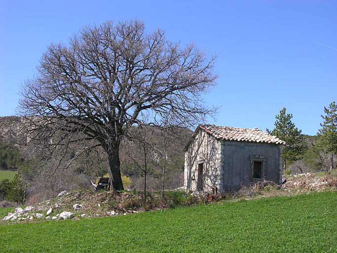 Entrepôt agricole de type 2.1 (1982 A3 268). Vue de situation prise du sud.