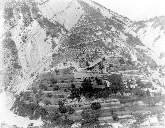 Ensemble de terrasses cultivées à l'Iscle. ; Roquestéron-Grasse, terrasses cultivées à l'Iscle.