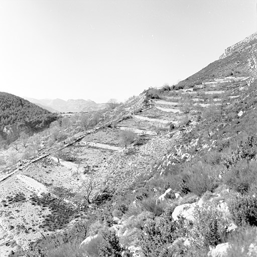 Coursegoules, Saint-Bernard. Ensemble de terrasses cultivées (section G, parcelles 99 et 101), vue d'ensemble depuis l'est.